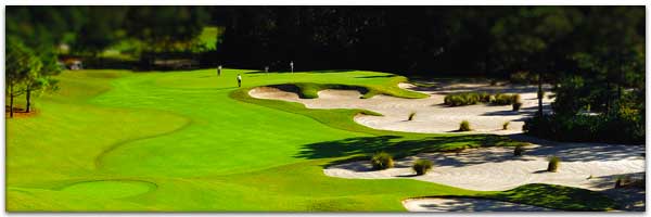 Disney's Osprey Ridge Course, #3